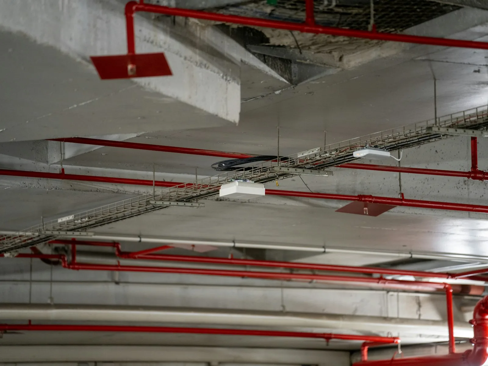 Overhead cable basket tray and red conduit pipes on an exposed concrete ceiling